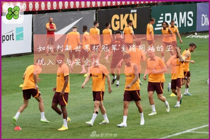 如何判断世界杯冠军竞猜网站的正规入口与安全性