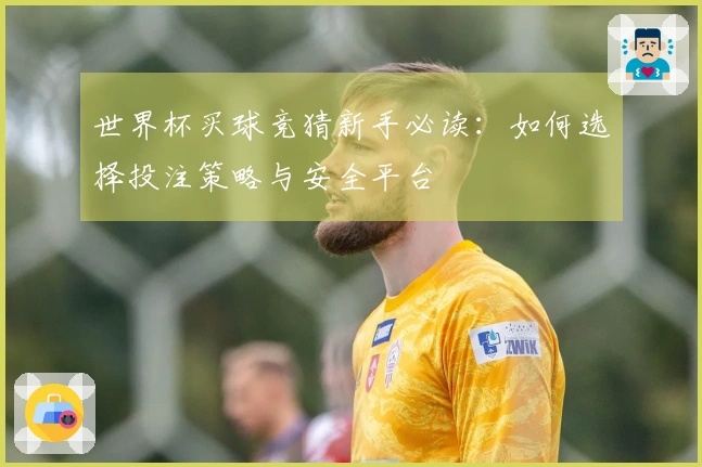 世界杯买球竞猜新手必读：如何选择投注策略与安全平台