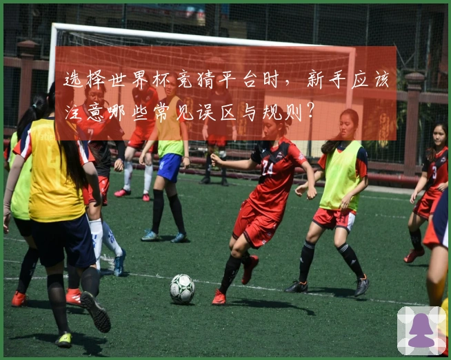 选择世界杯竞猜平台时，新手应该注意哪些常见误区与规则？