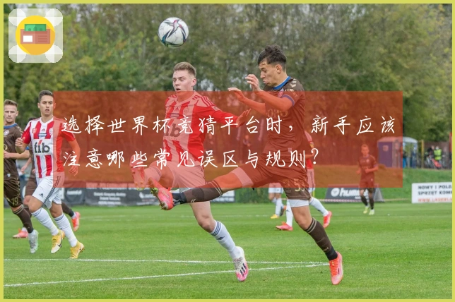 选择世界杯竞猜平台时，新手应该注意哪些常见误区与规则？