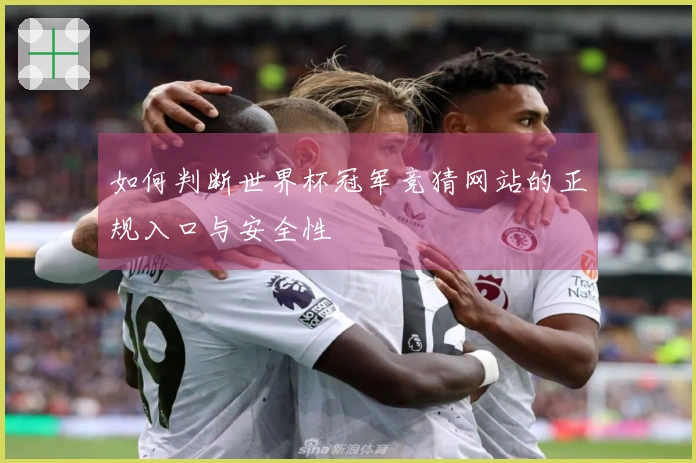 如何判断世界杯冠军竞猜网站的正规入口与安全性