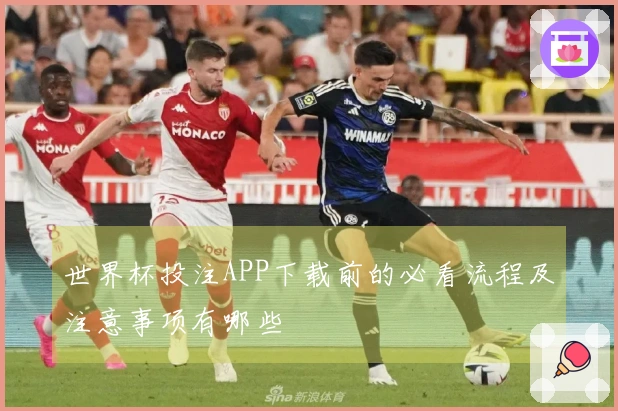 世界杯投注APP下载前的必看流程及注意事项有哪些