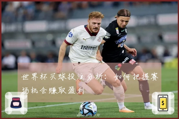 世界杯买球投注分析：如何把握赛场机会赚取盈利