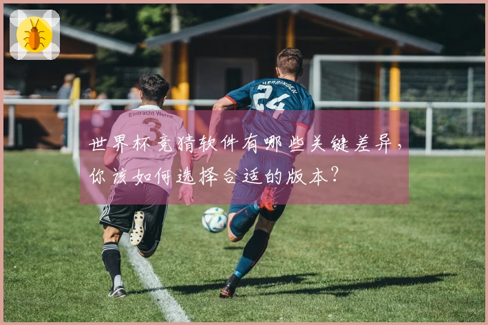 世界杯竞猜软件有哪些关键差异，你该如何选择合适的版本？